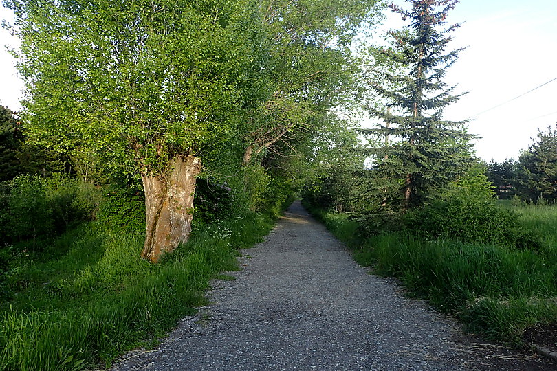 Sevan Botanical Garden kz3