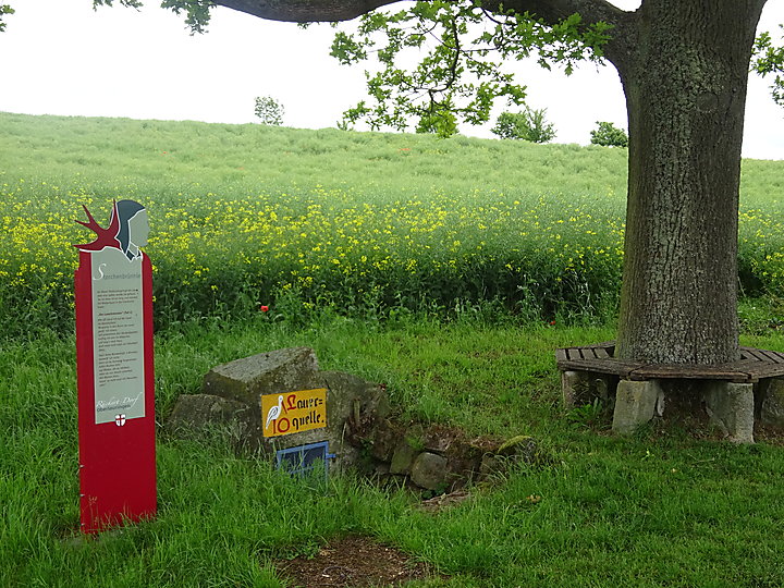 Lauerquelle, genannt Storchenbrünnle
